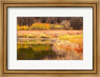 Framed Autumn Pond