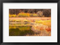 Framed Autumn Pond