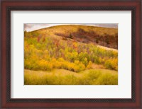 Framed Autumn on the Hill