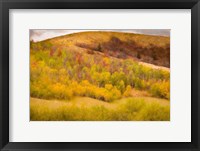 Framed Autumn on the Hill