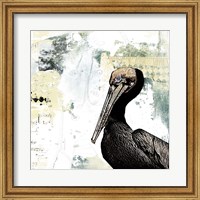 Framed Pelican Palm