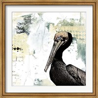 Framed Pelican Palm