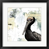 Framed Pelican Palm