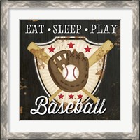 Framed 'Eat, Sleep, Play, Baseball' border=