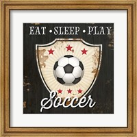 Framed Eat, Sleep, Play, Soccer