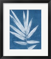 Framed 'Spa Bamboo II' border=