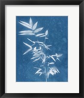 Framed 'Spa Bamboo III' border=