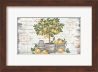 Framed Lemon Topiary