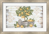 Framed Lemon Topiary