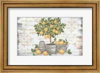 Framed Lemon Topiary