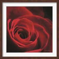 Framed Red Rose I