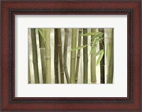 Framed Backlit Bamboo I