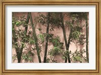 Framed Bamboo on Blush