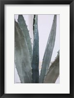 Framed Cactus Close View