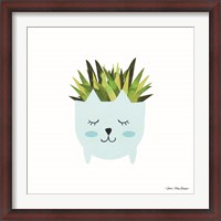 Framed Cat Plant