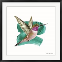 Framed Hummingbird I