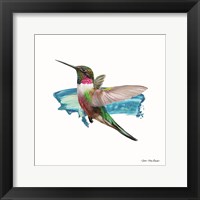 Hummingbird II Framed Print