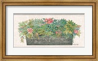 Framed Flowers & Succulents