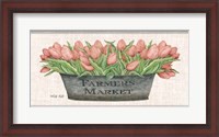 Framed Farmer's Market Blush Tulips