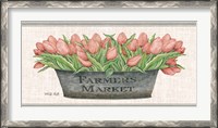 Framed Farmer's Market Blush Tulips