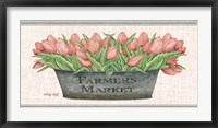Framed Farmer's Market Blush Tulips
