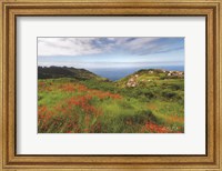 Framed Flowers of Madeira