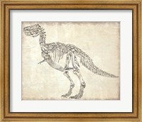 Framed T-Rex Skeleton
