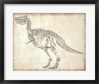Framed T-Rex Skeleton