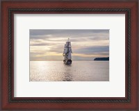 Framed Lady Washington III