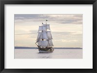 Lady Washington II Framed Print