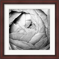 Framed Ranunculus Abstract III BW Light