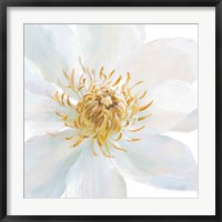 Framed Contemporary Clematis Gray