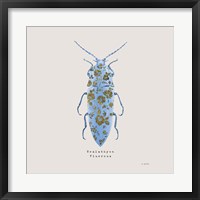 Adorning Coleoptera VIII Sq Blue Framed Print