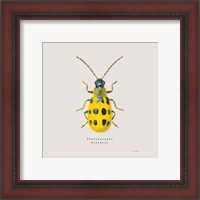 Framed 'Adorning Coleoptera VII Sq Golden' border=