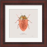 Framed Adorning Coleoptera V Sq Camelia
