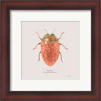 Framed 'Adorning Coleoptera V Sq Camelia' border=