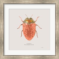 Framed 'Adorning Coleoptera V Sq Camelia' border=