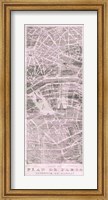 Framed Plan de Paris Panel on Wood v2 Blush