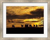 Framed Horses at Sunset