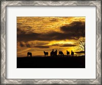 Framed Horses at Sunset