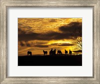 Framed Horses at Sunset