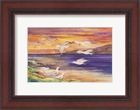 Framed Seagull Sunset