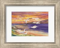 Framed Seagull Sunset
