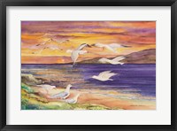 Framed Seagull Sunset