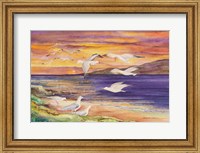 Framed Seagull Sunset