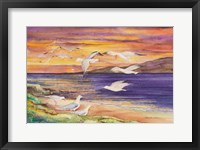 Framed Seagull Sunset