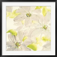 Framed Dancing Clematis I