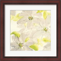 Framed Dancing Clematis I