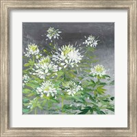 Framed Farmhouse Cleome II