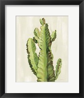 Framed 'Front Yard Cactus II' border=